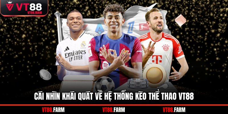 Cái nhìn khái quát về hệ thống kèo thể thao VT88
