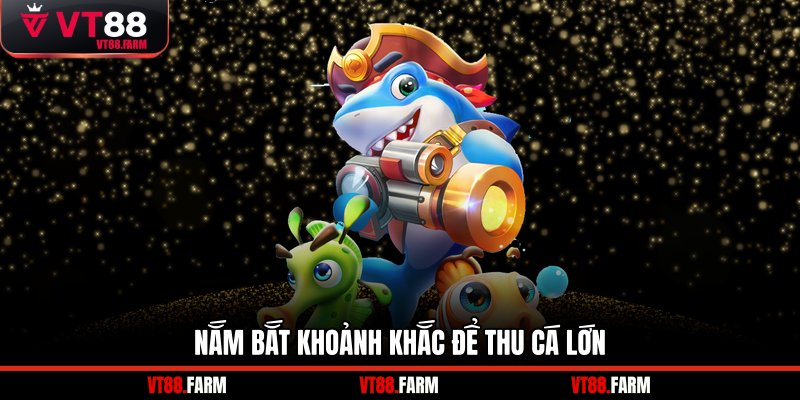 Nắm bắt khoảnh khắc để thu cá lớn