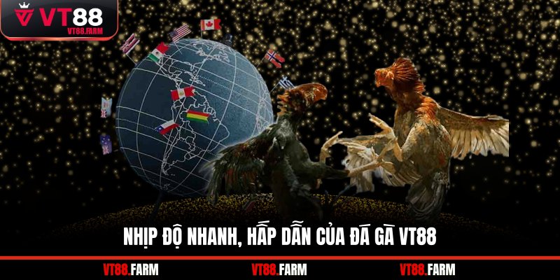 Nhịp độ nhanh, hấp dẫn của đá gà VT88