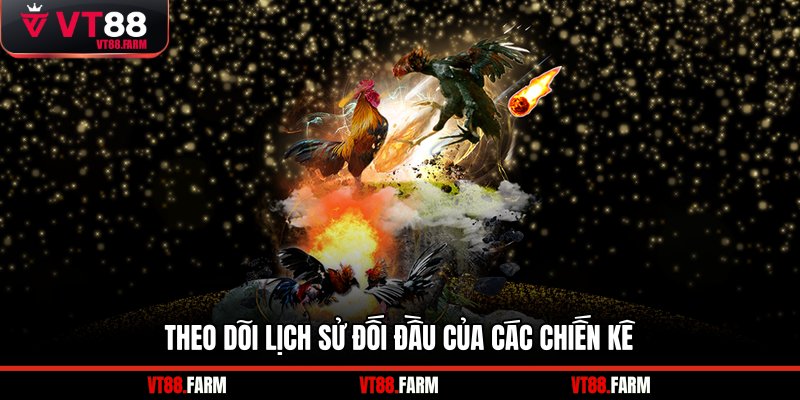 Theo dõi lịch sử đối đầu của các chiến kê